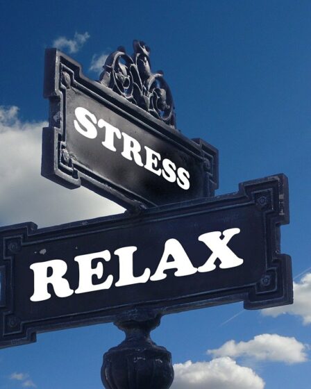 stress, relaxation, relax-391657.jpg